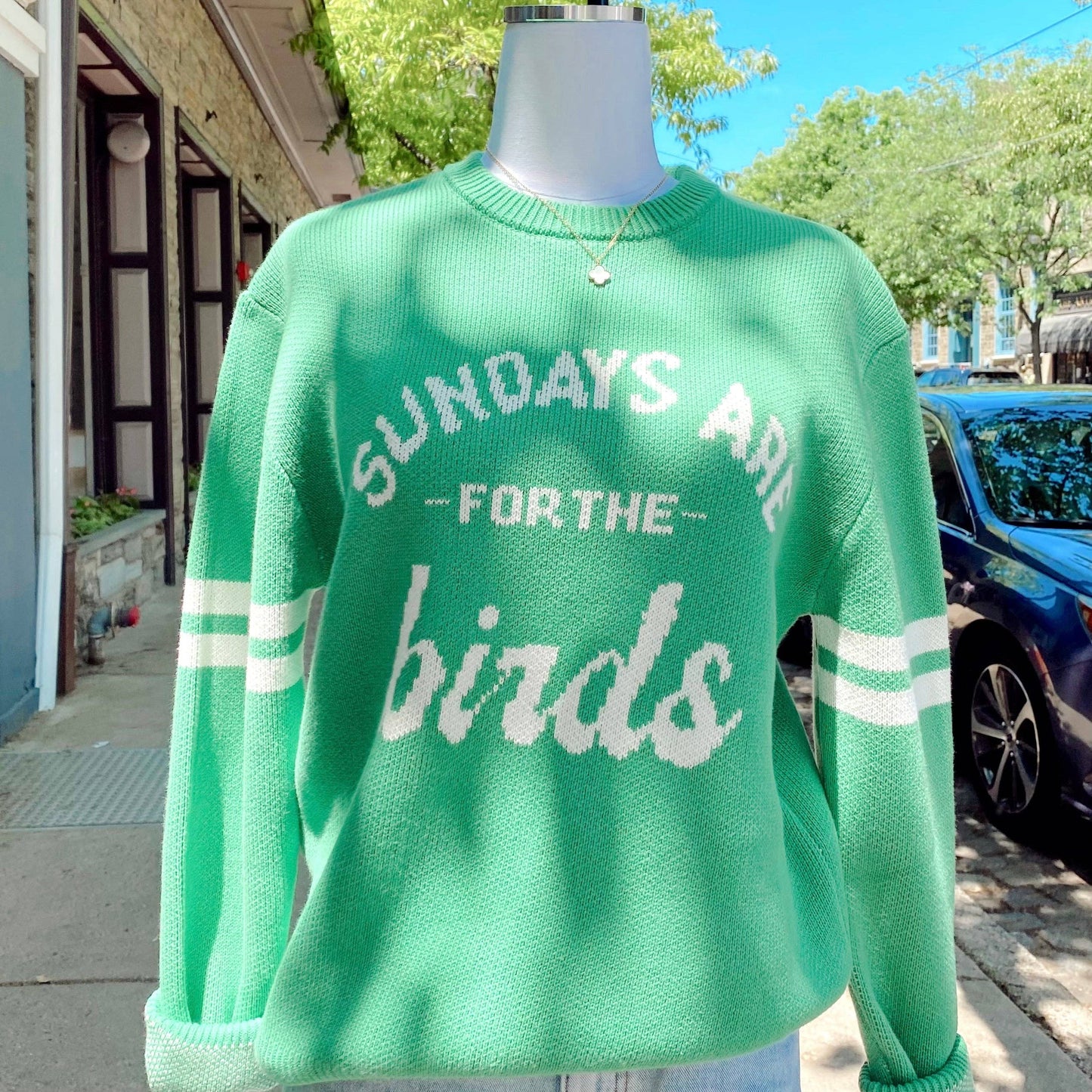 "Sundays Are For The Birds"  Knit Sweater